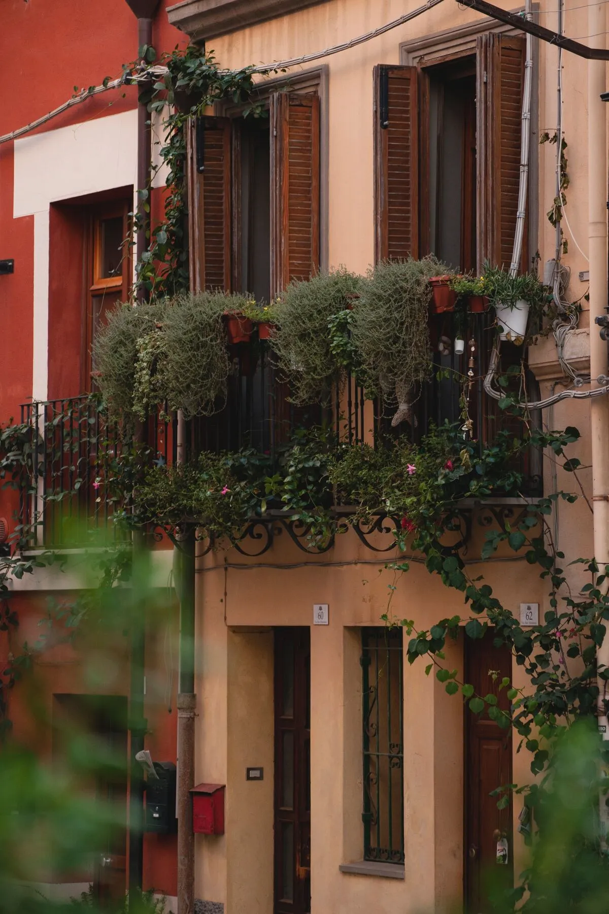 A balcony overflowing with greenery in Cagliari